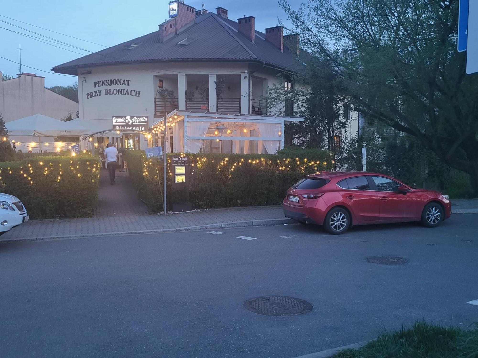 Pensjonat Przy Bloniach Cracóvia Exterior foto